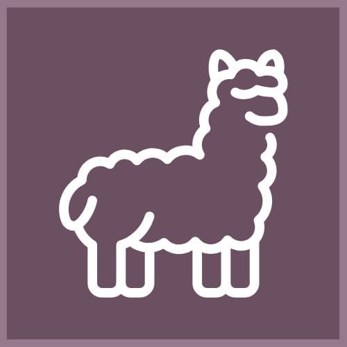 Almtal Hotel Aktivitäten